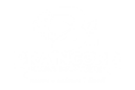 BrainCord Media